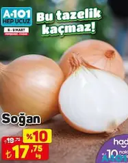 SOĞAN KG SOĞAN KG